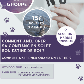 2026 : Ateliers thérapeutiques + 30 ans - apprivoiser son mode de fonctionnement HP