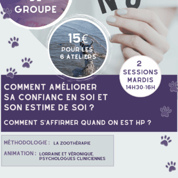 2025 : Ateliers thérapeutiques + 30 ans - apprivoiser son mode de fonctionnement HP
