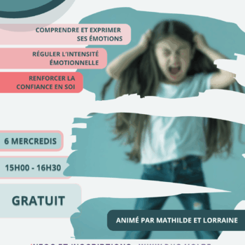 2026 - Groupe 2 (15h00-16h30) - La gestion des émotions chez les enfants neuroatypiques, un véritable défi ...